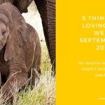 5 Things I’m Loving This Week–September 4, 2015